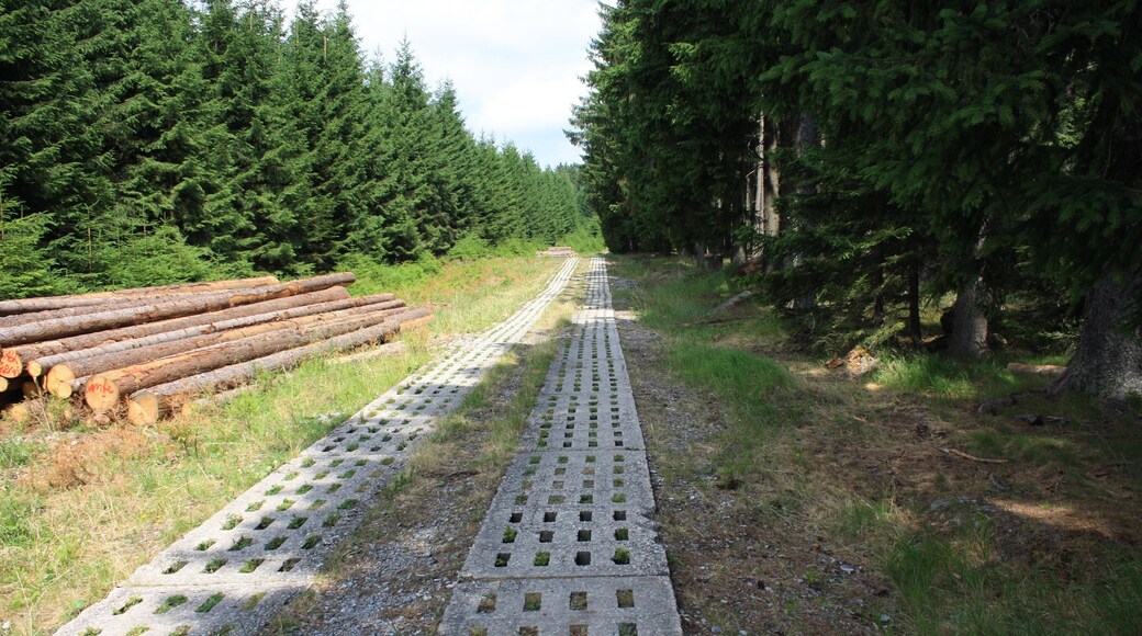 Harzwanderung Oberharz um Braunlage - Wurmberg -Elend ehemaliger Postenweg am Hinterlandzaun der Zonengrenze