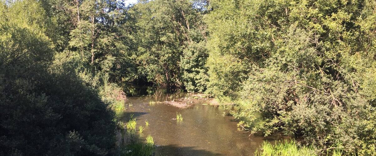 Idyllic river with a waterfall nearby and the home of the Kingfisher bird.