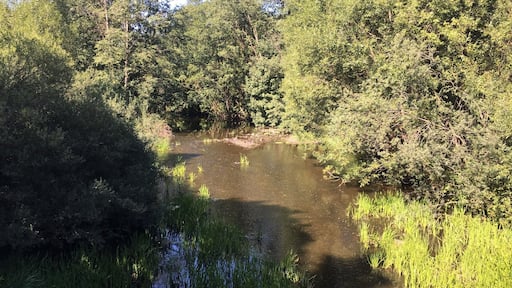 Idyllic river with a waterfall nearby and the home of the Kingfisher bird.