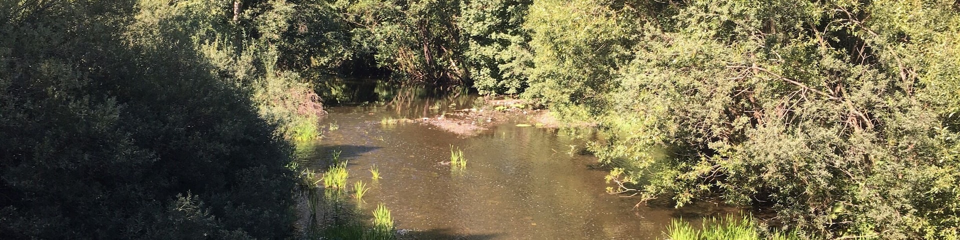 Idyllic river with a waterfall nearby and the home of the Kingfisher bird.