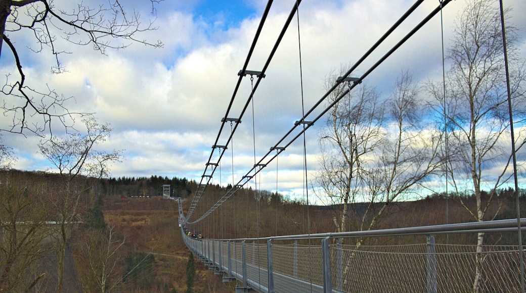 Die neue Hängebrücke an der Rappbodetalsperre.
The new suspension bridge next to Rappbode Dam.