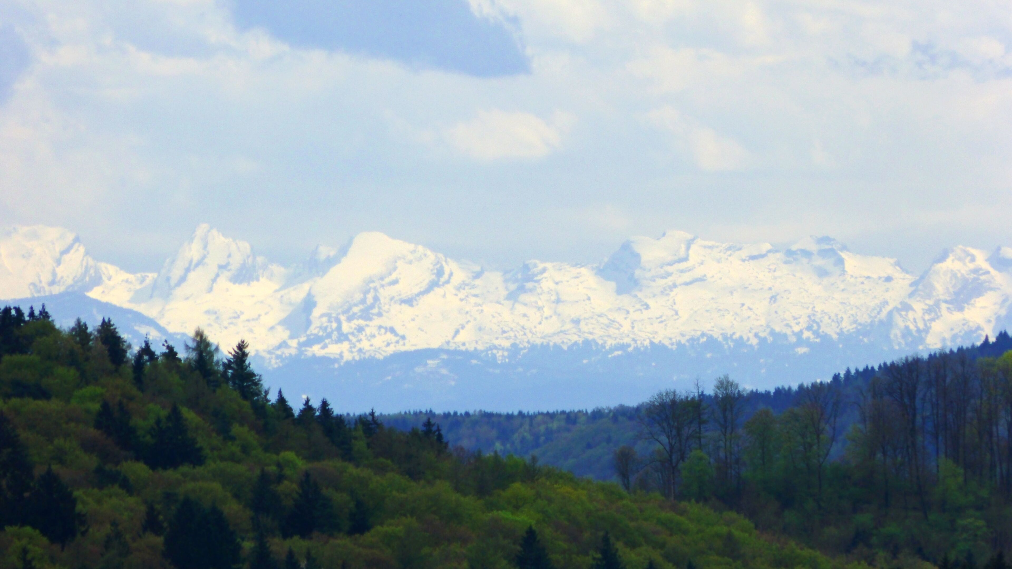 A mountain range with snow-capped peaks, a forested valley, and a clear sky.