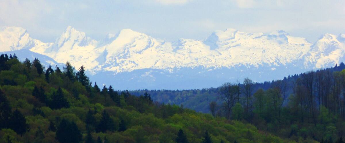 A mountain range with snow-capped peaks, a forested valley, and a clear sky.