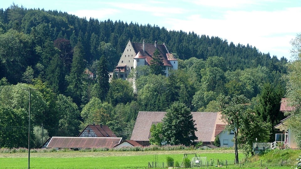 A rural landscape with a prominent castle on a hill, surrounded by dense forest and smaller houses.