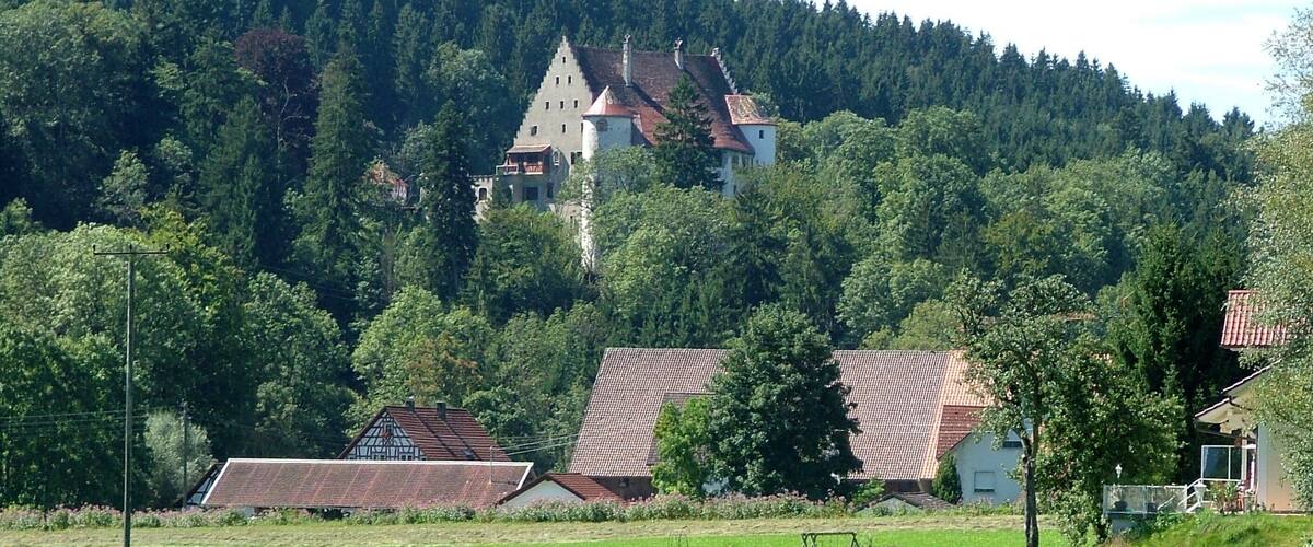 A rural landscape with a prominent castle on a hill, surrounded by dense forest and smaller houses.