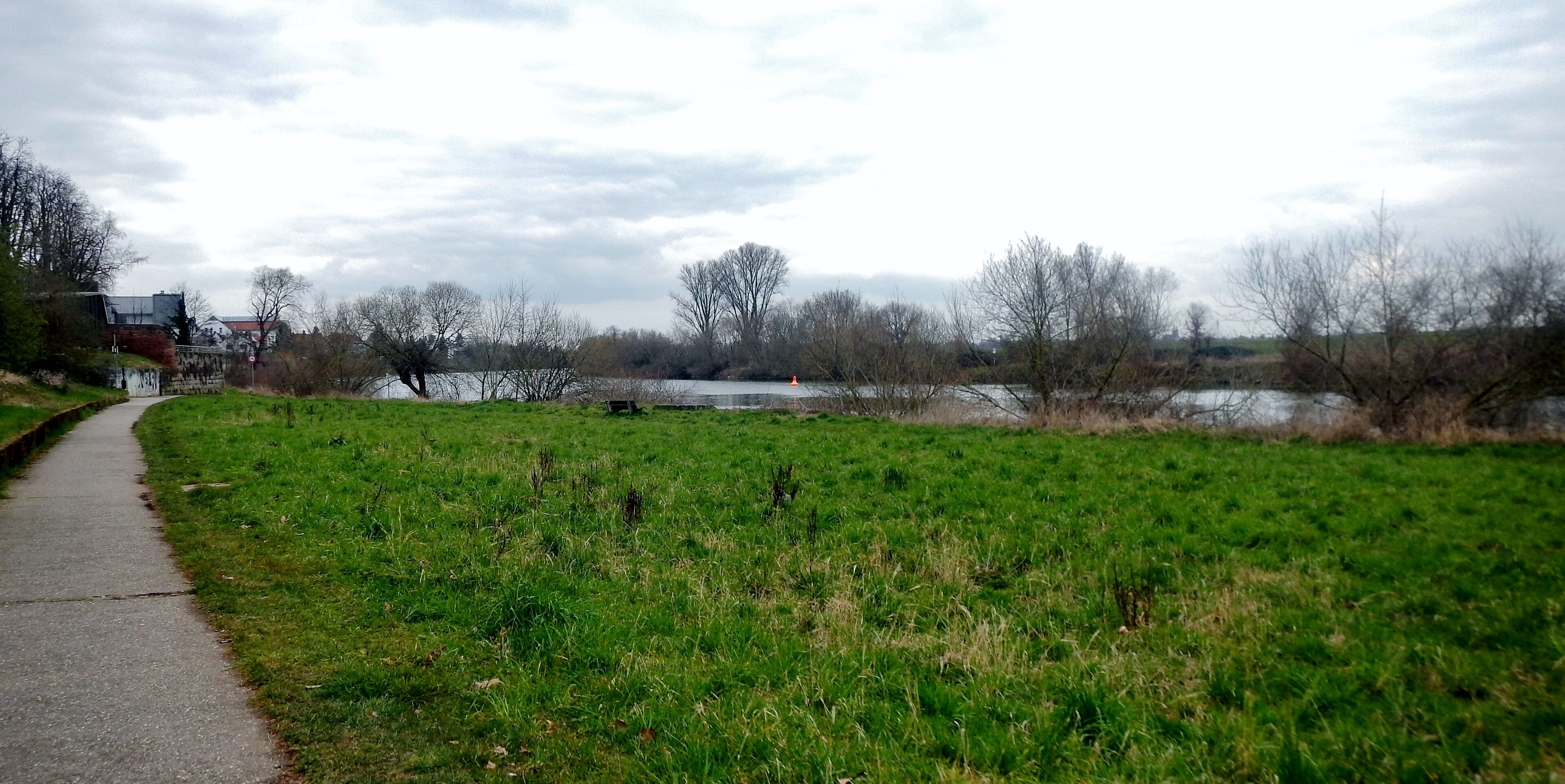 Ausblick vom 366 km langen Neckartalradweg