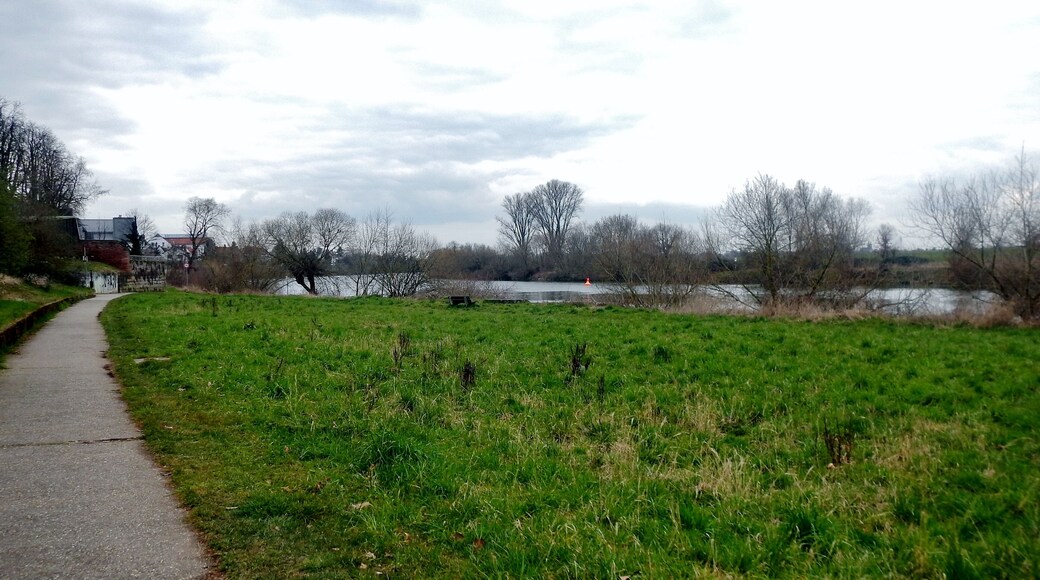 Ausblick vom 366 km langen Neckartalradweg