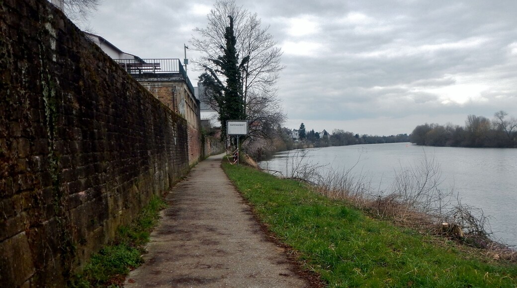Ausblick vom 366 km langen Neckartalradweg