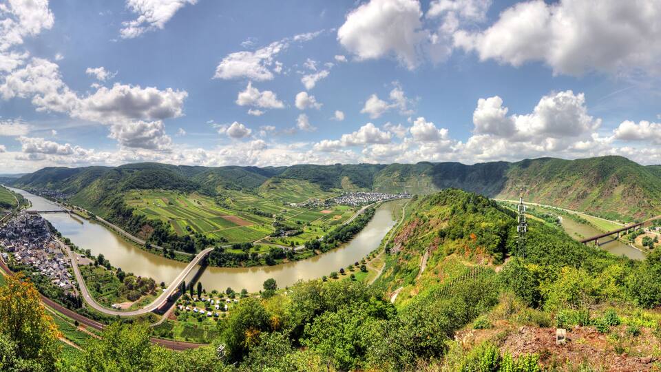 A river winding through lush green hills, a bridge, and a town with vineyards.