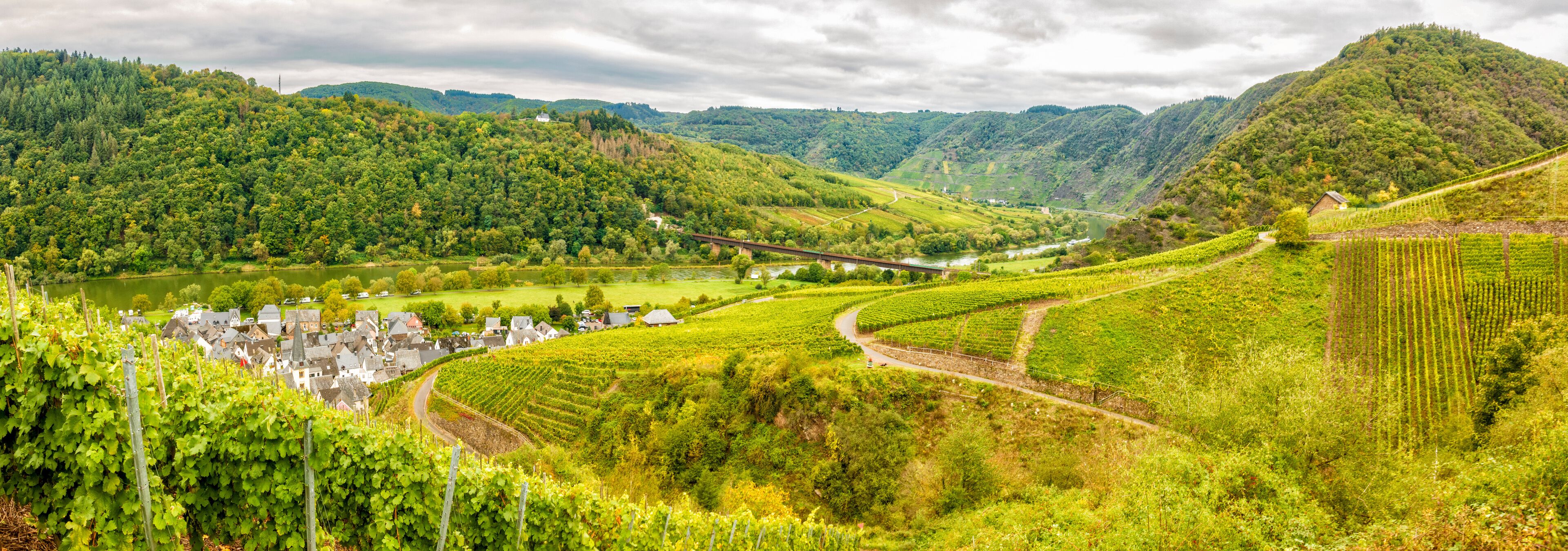 Panorma bei Ediger-Eller im Moseltal