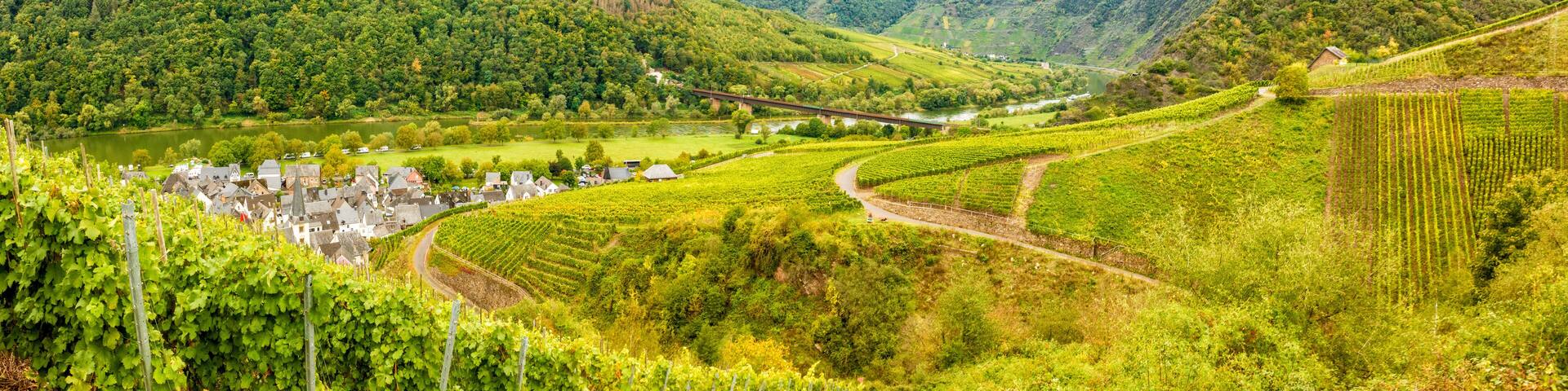 Panorma bei Ediger-Eller im Moseltal