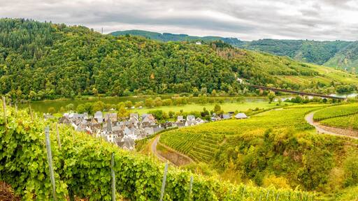 Panorma bei Ediger-Eller im Moseltal