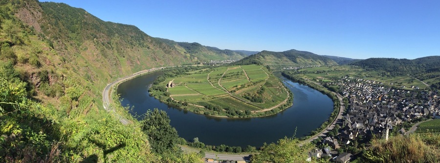 View from the Calmont, the steepest vineyards in the world