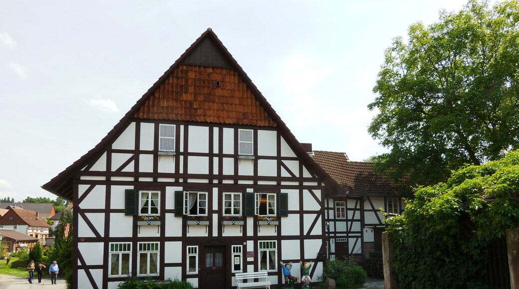 Niedermühle (Herrenmühle) in Ebergötzen, Landkreis Göttingen, Niedersachsen, vermutlich 18. Jahrhundert. Ansicht von hinten mit Wasserführung und Mühlrad. Häufiger Aufenthaltsort von Wilhelm Busch in dessen Jugend, als Wilhelm-Busch-Mühle Museum. Ansicht von Norden (Eingangsseite)