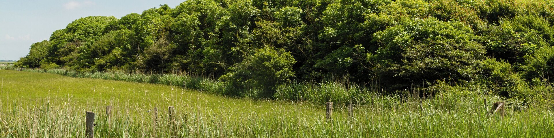 Designation: Duck decoy Oldsum Location: Meedeweg Place: Dunsum, Collective municipality Föhr-Amrum, District Nordfriesland, Schleswig-Holstein, Federal Republic of Germany Description: Device to capture wild ducks Object identification: 22063