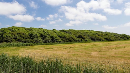 Designation: Duck decoy Oldsum Location: Meedeweg Place: Dunsum, Collective municipality Föhr-Amrum, District Nordfriesland, Schleswig-Holstein, Federal Republic of Germany Description: Device to capture wild ducks Object identification: 22063