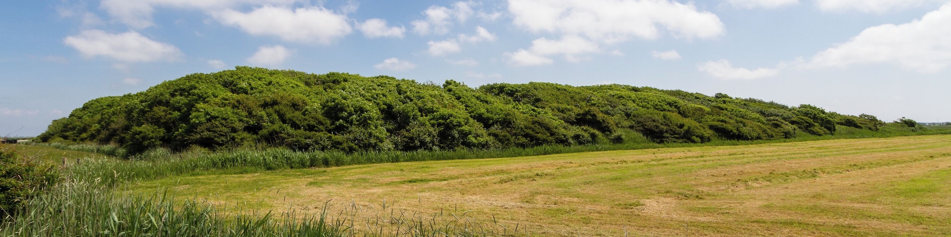Designation: Duck decoy Oldsum Location: Meedeweg Place: Dunsum, Collective municipality Föhr-Amrum, District Nordfriesland, Schleswig-Holstein, Federal Republic of Germany Description: Device to capture wild ducks Object identification: 22063