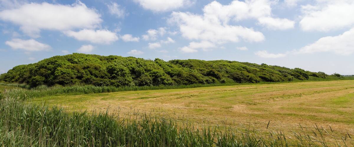 A hill with dense green vegetation under a partly cloudy sky.