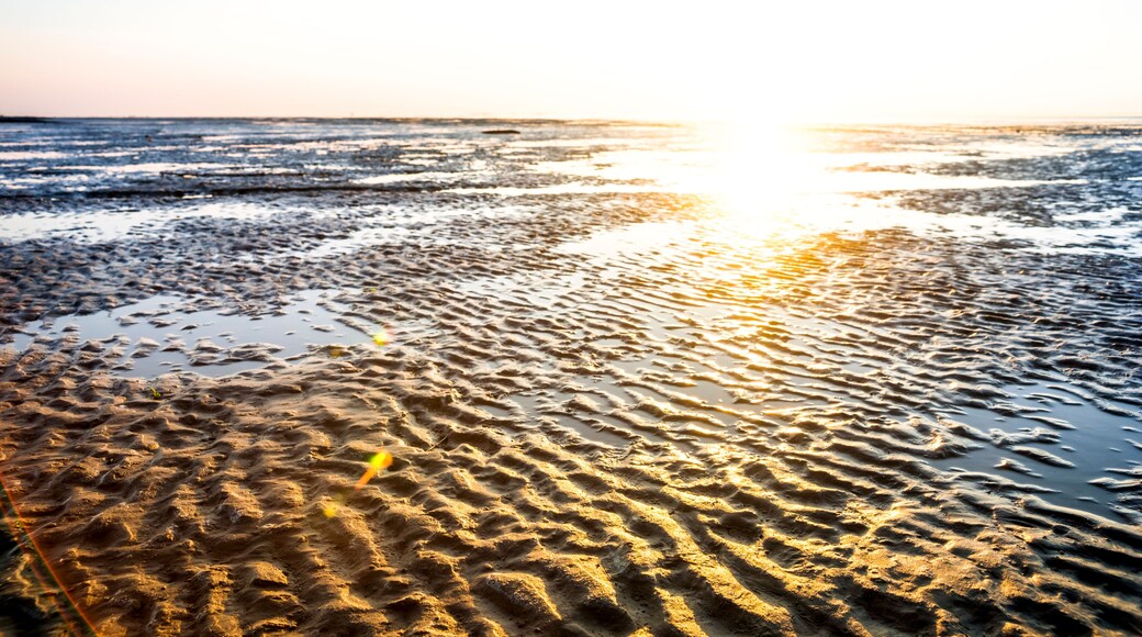 Cuxhaven, watts, Germany , Shutterstock ID 1128778070, Purchase Order: -
