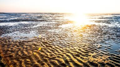 A beach with wet sand and the sun reflecting on the water.