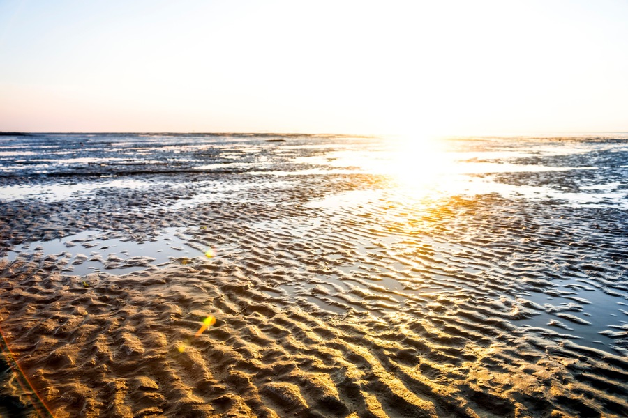 Cuxhaven, watts, Germany , Shutterstock ID 1128778070, Purchase Order: -