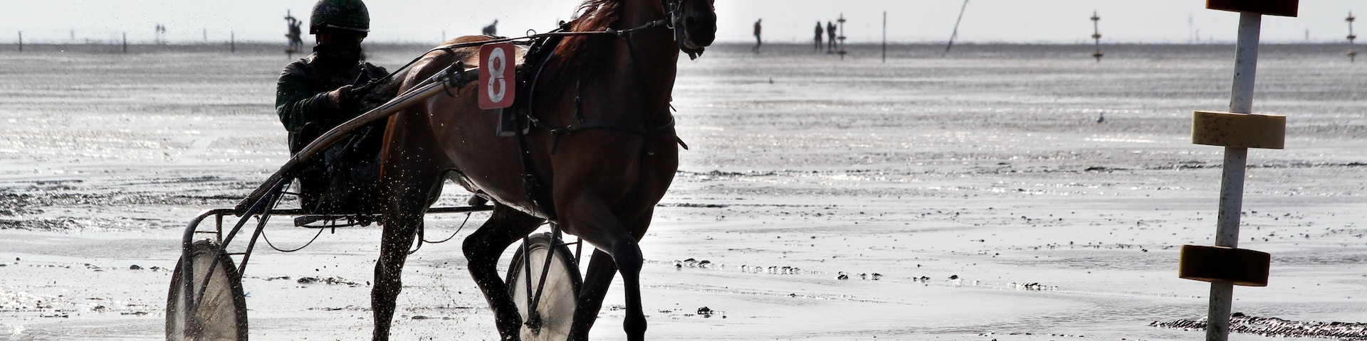 Uma carruagem puxada por cavalos numa praia molhada, com uma pessoa dentro.