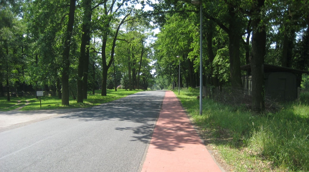 Radweg in Rot / Dobbrikow - Nettgendorf