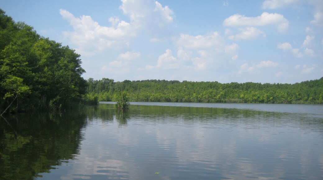 Dobbrikow - Bauernsee