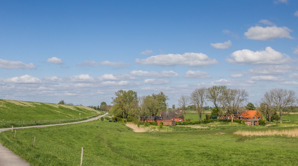 Bicycle path along the dollard route in Ostfriesland