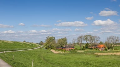 A rural landscape with a curving road, green fields, a few houses, and a clear blue sky with clouds.