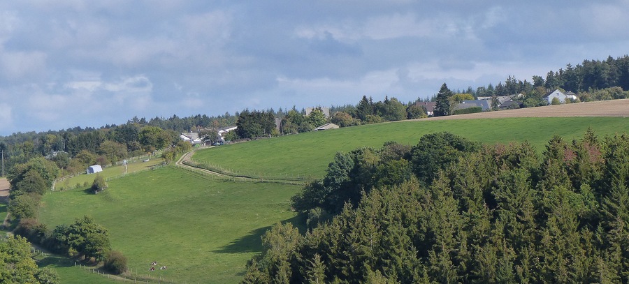 Ein grüner Hügel mit einem Zaun, Bäumen und Häusern im Hintergrund.