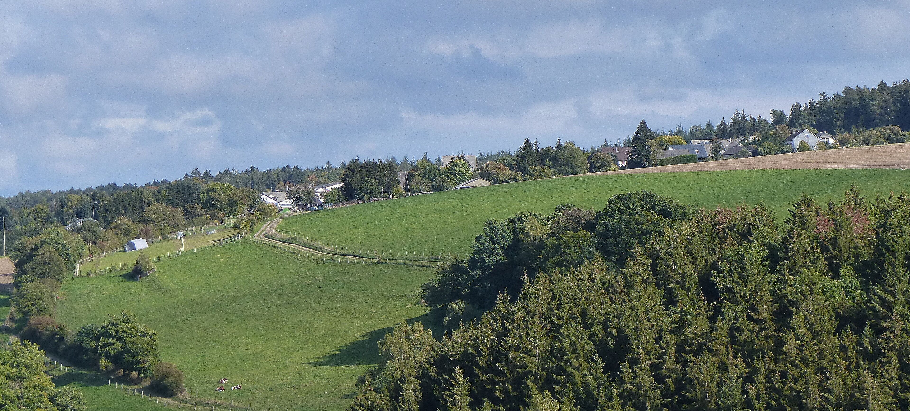A green hillside with a fence, trees, and houses in the background.