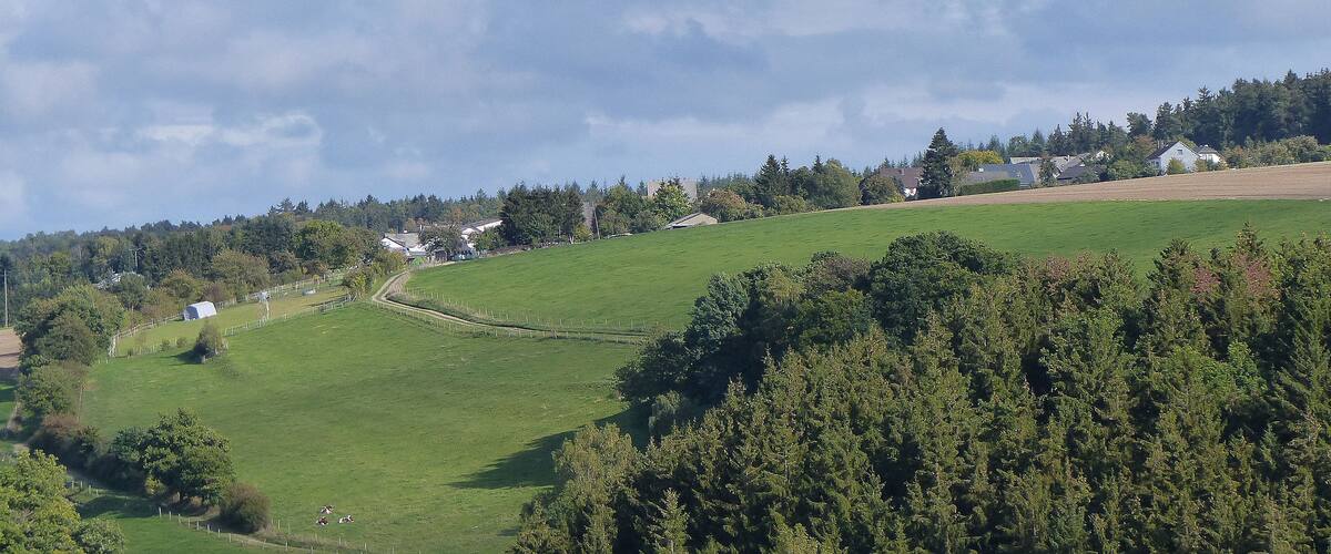 A green hillside with a fence, trees, and houses in the background.