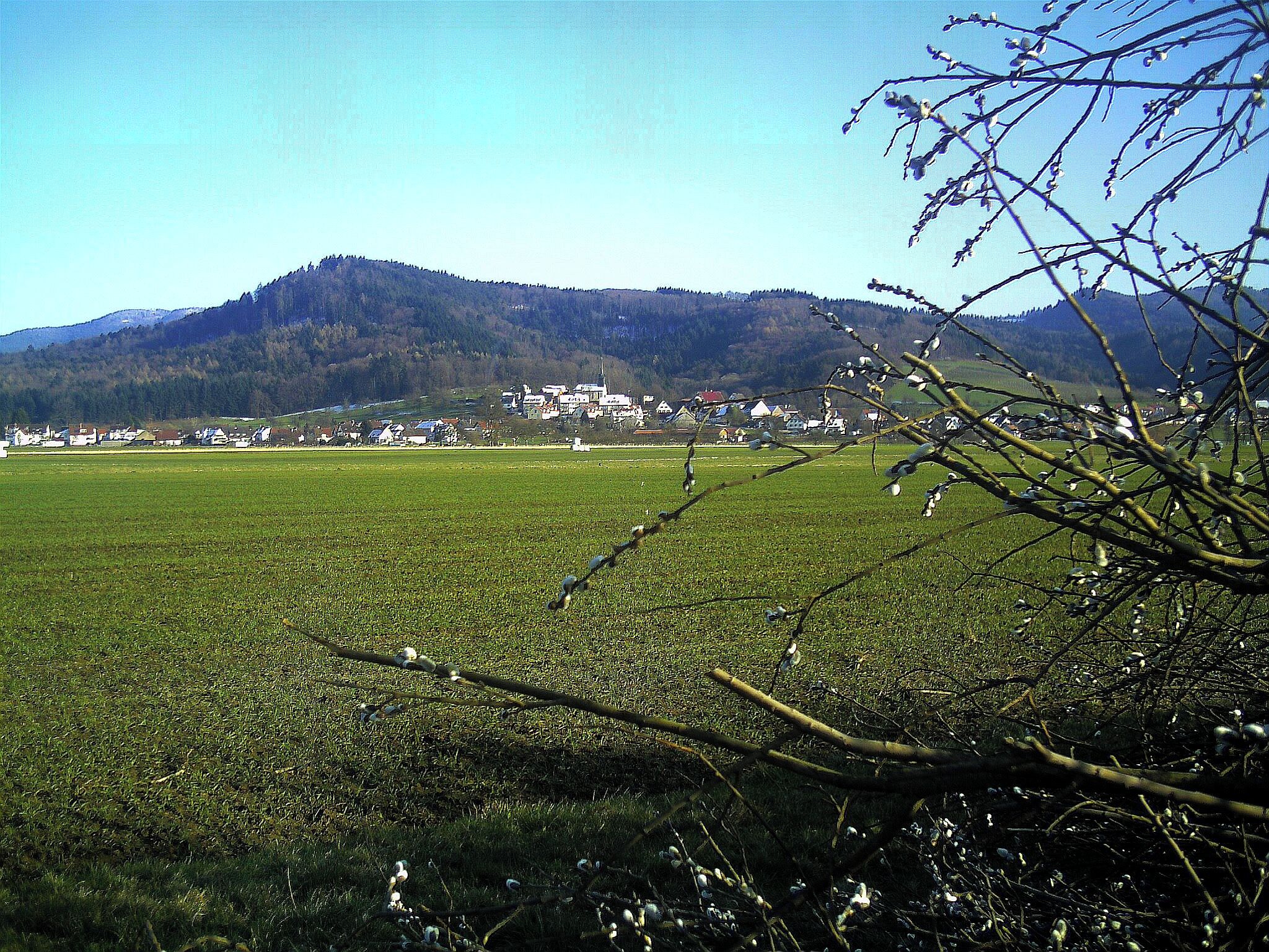 Heuweiler von Denzlingen gesehen