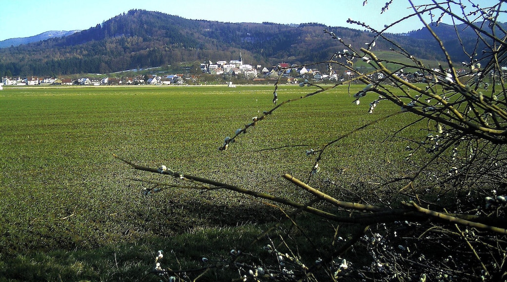 Heuweiler von Denzlingen gesehen