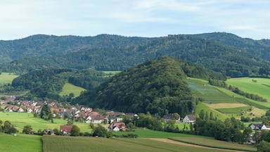 View on Glottertal from the North-West