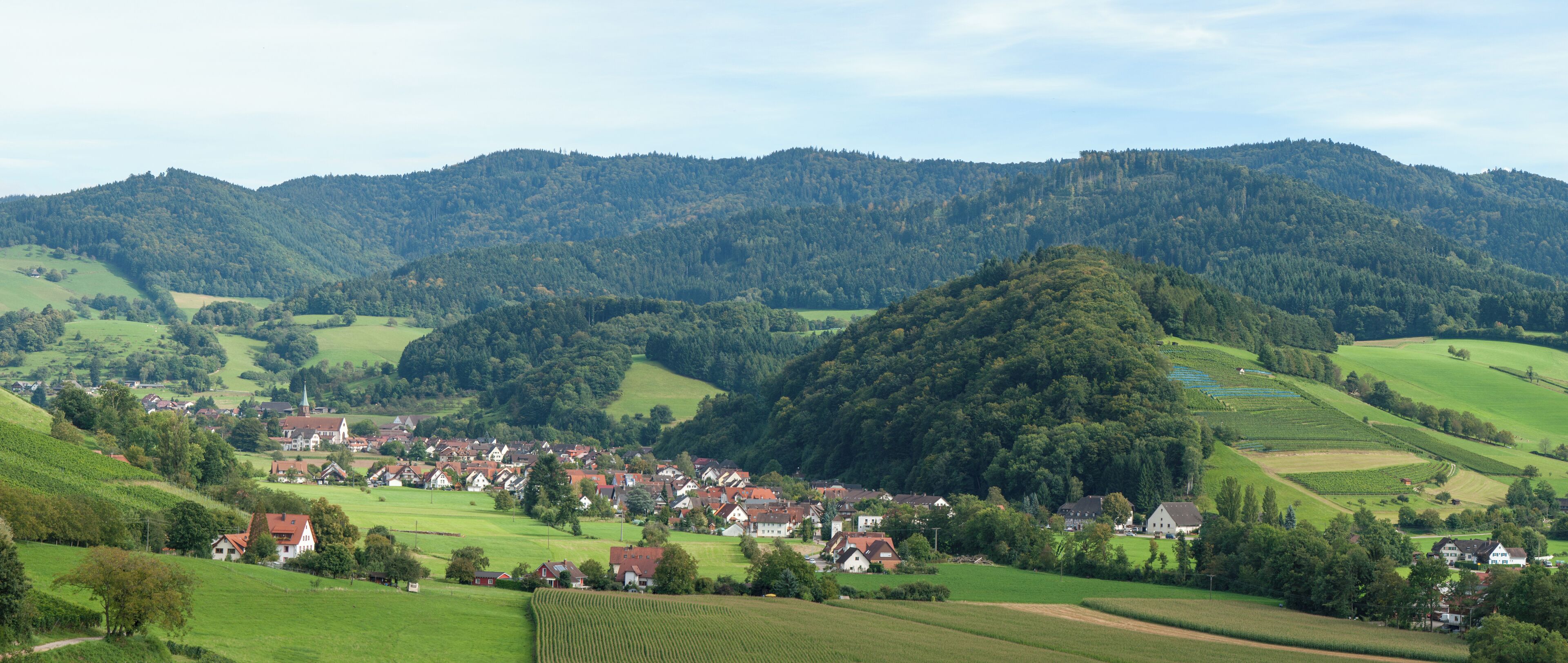 A rural village nestled in a valley with rolling hills and dense forests in the background.