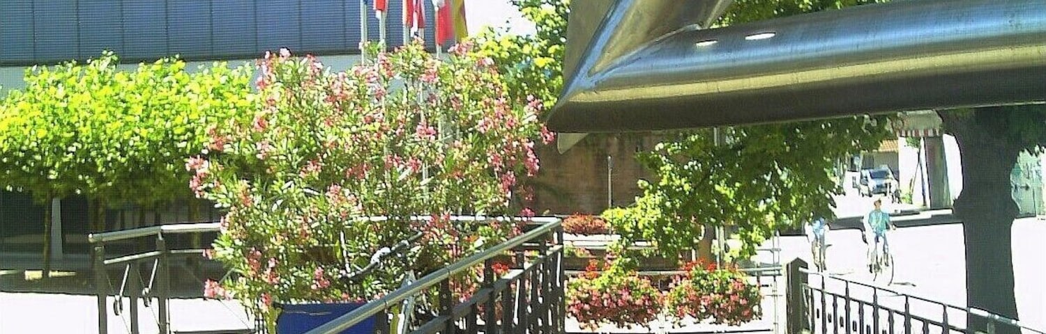 Die Glotter in Denzlingen