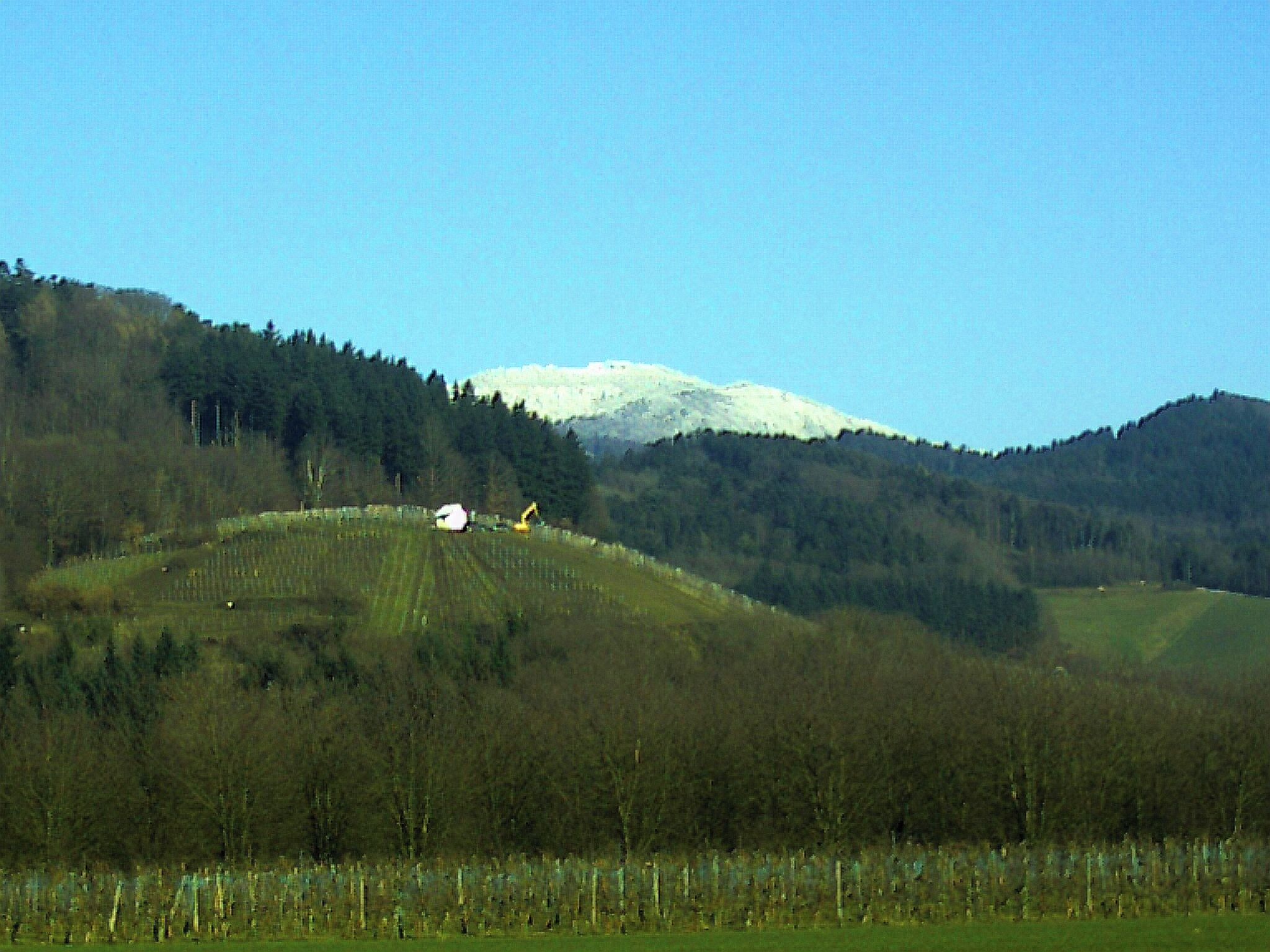 Kandel von Denzlingen gesehen