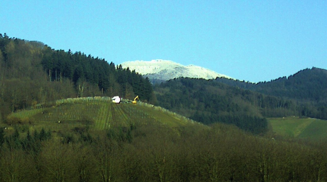 Kandel von Denzlingen gesehen