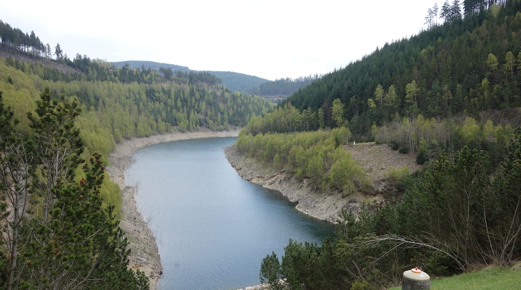Talsperre Leibis-Lichte, Blick von der Vorsperre Deesbach in das Hauptbecken