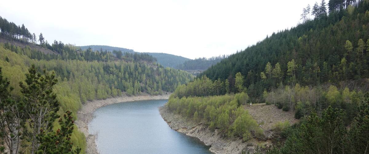 A river winding through a forested valley with a small dock and a trash can nearby.