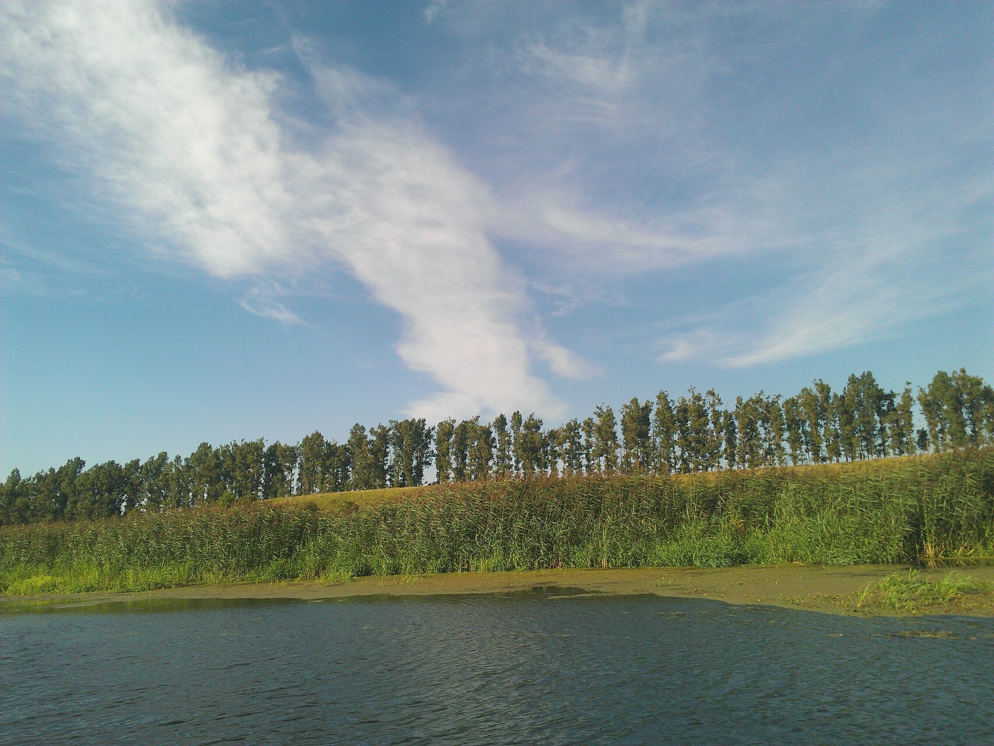 A river with a forested hillside in the background.