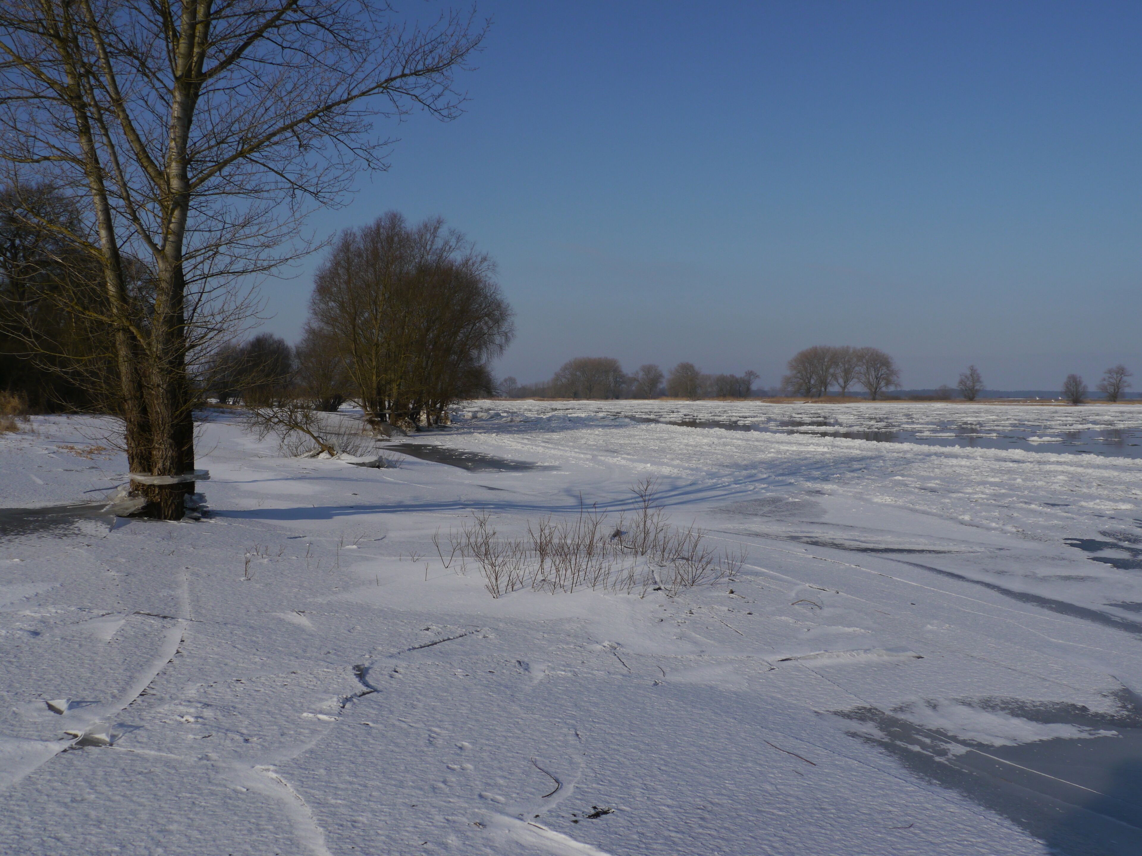 Sibirische Kälte 2012