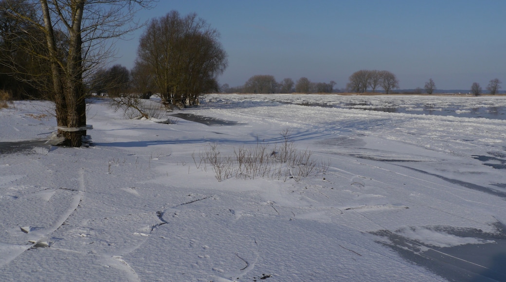 Sibirische Kälte 2012
