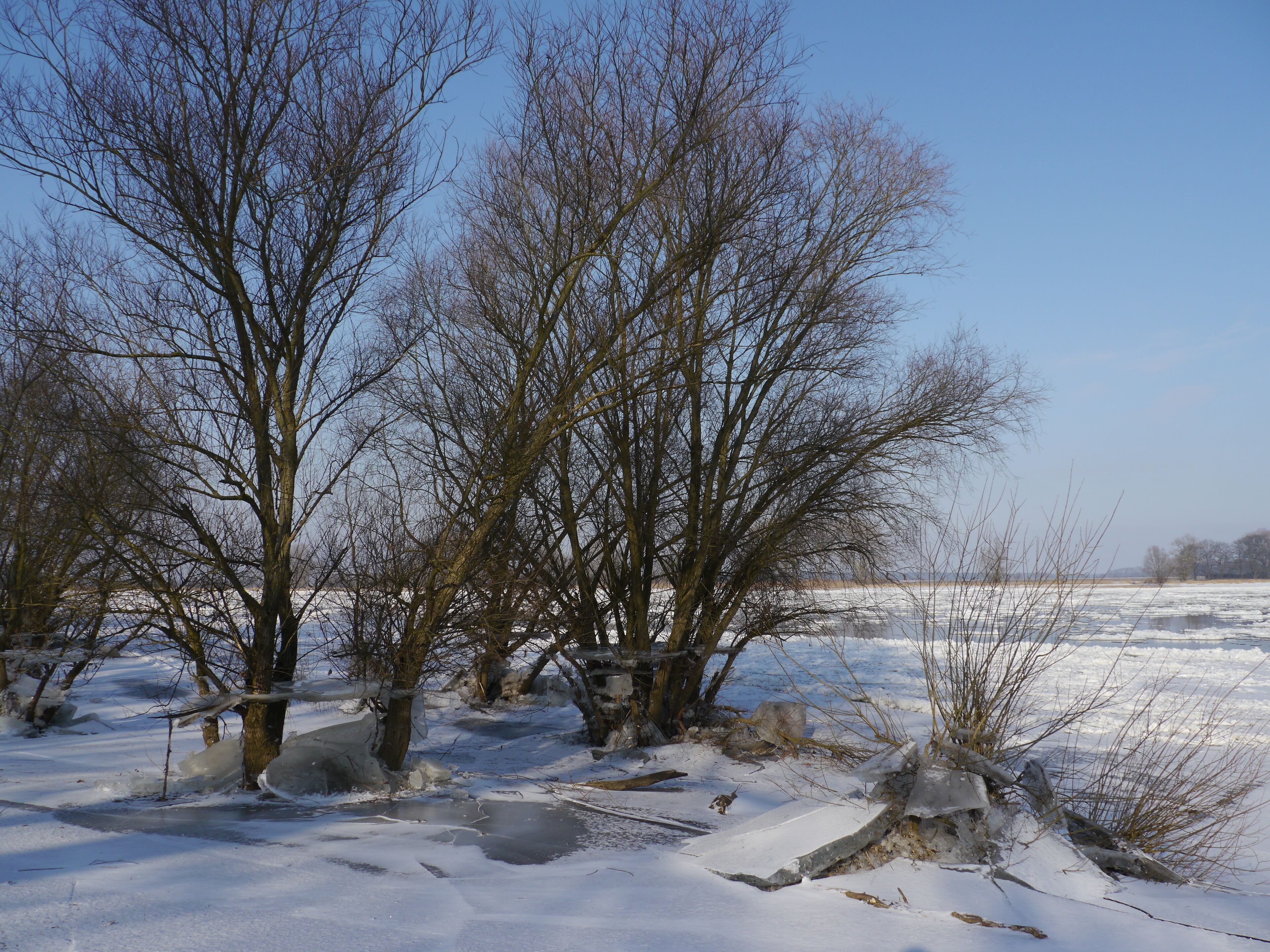 Gesunkener Wasserstand 2012