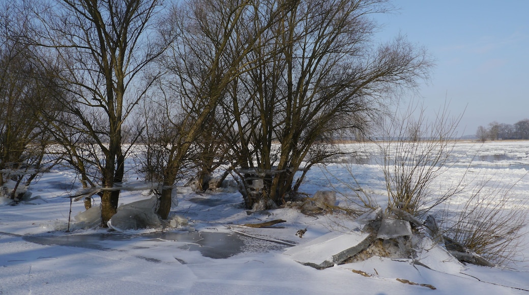 Gesunkener Wasserstand 2012