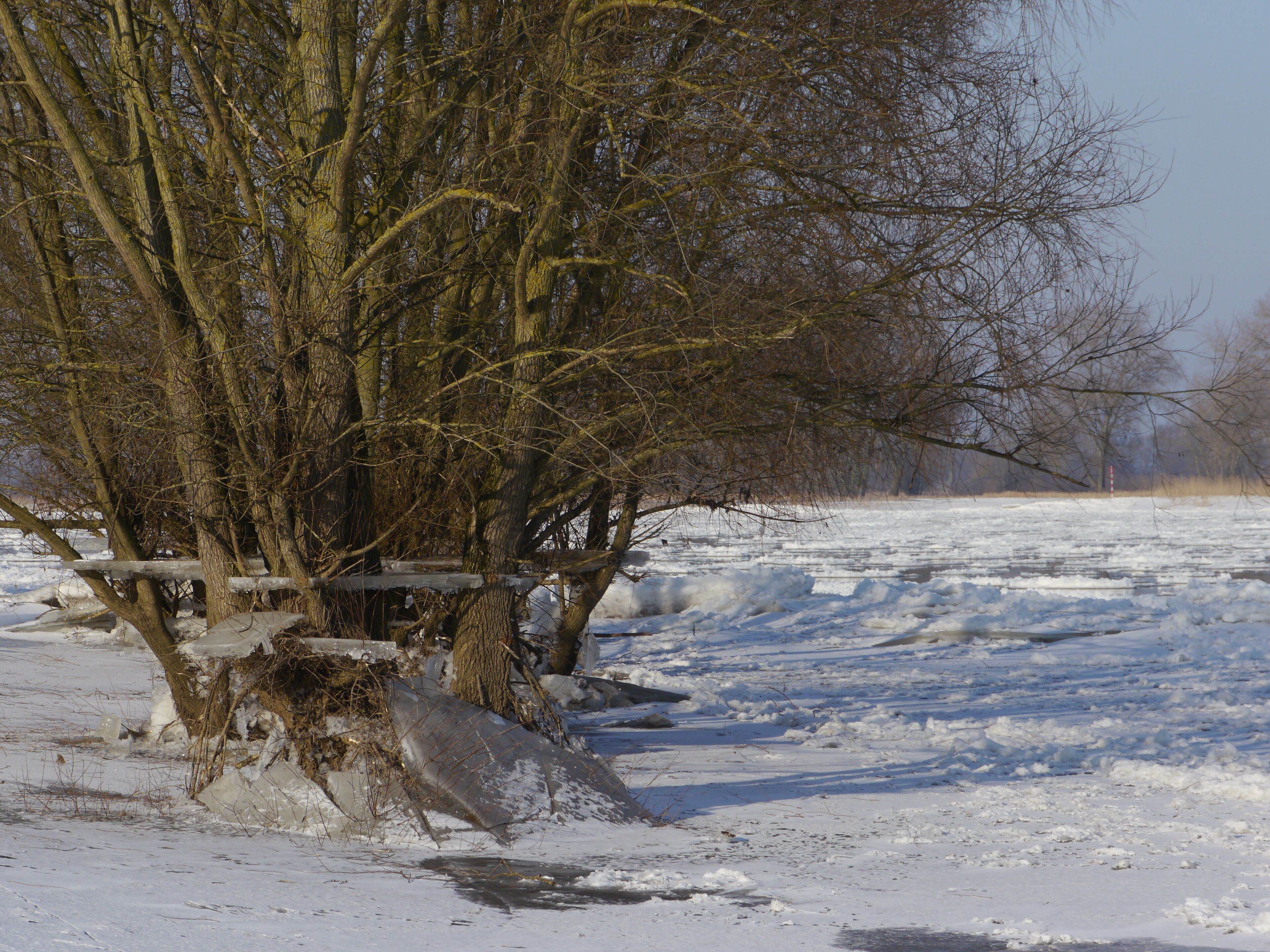Gesunkener Wasserstand 2012