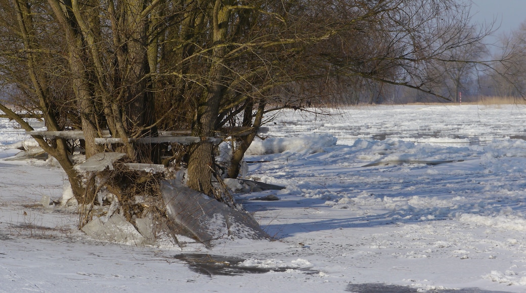 Gesunkener Wasserstand 2012