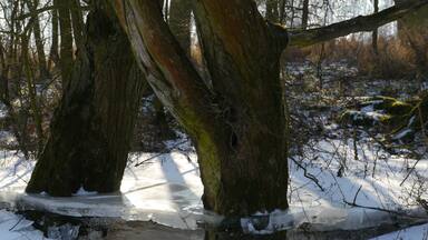 Abgesacktes Eis 2012